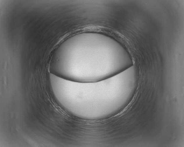 X0000083991401200702160719