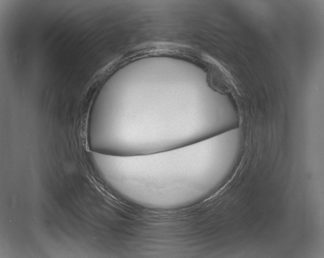 X0000083991403200702160719