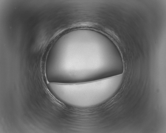 X0000083991404200702160719