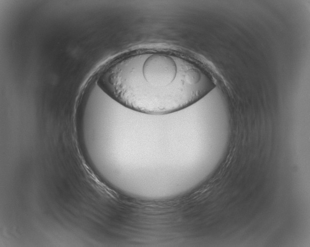 X0000083991408200702160719