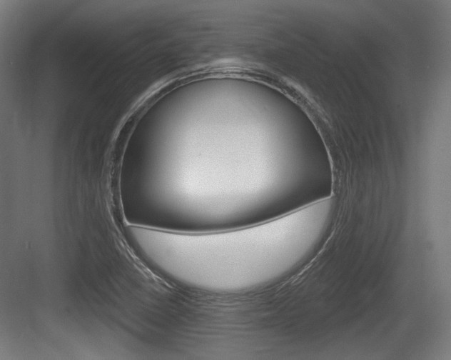 X0000083991410200702160719