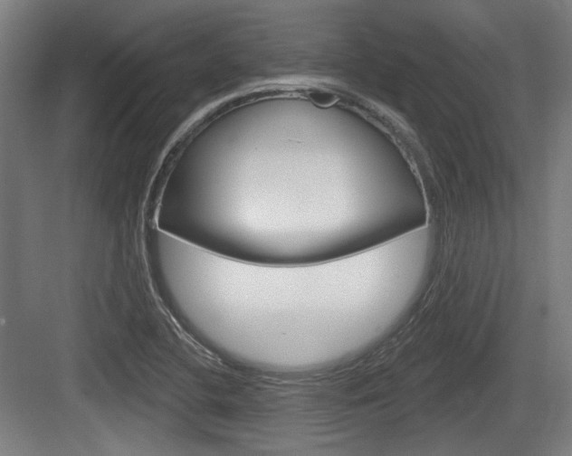 X0000083991412200702160719