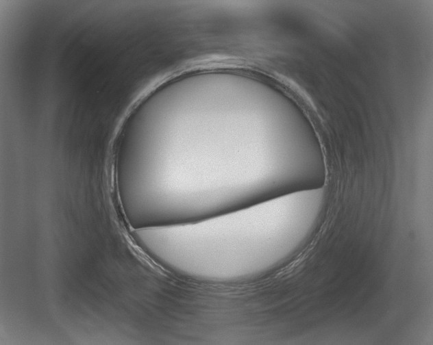 X0000083991413200702160719