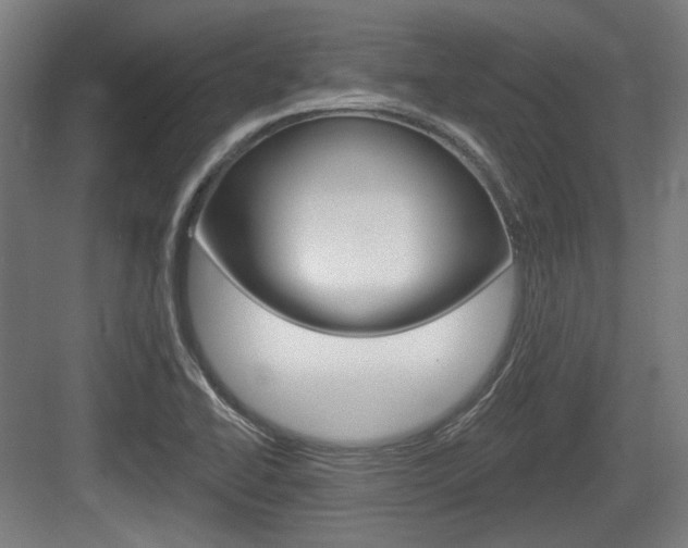 X0000083991414200702160719