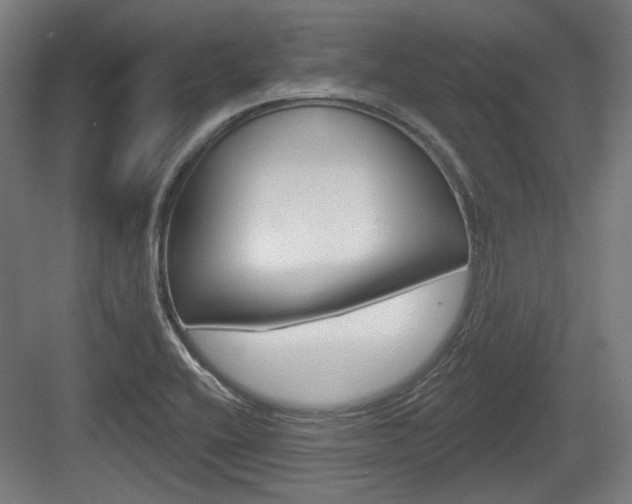 X0000083991416200702160719