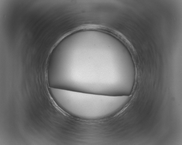 X0000083991417200702160719