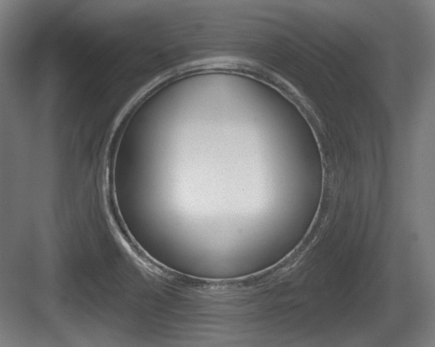X0000083991418200702160719