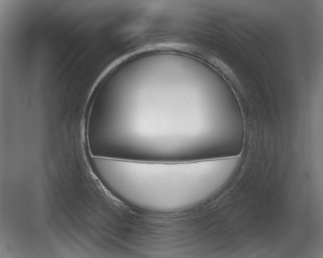 X0000083991420200702160719