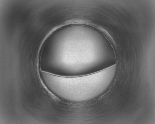 X0000083991424200702160719