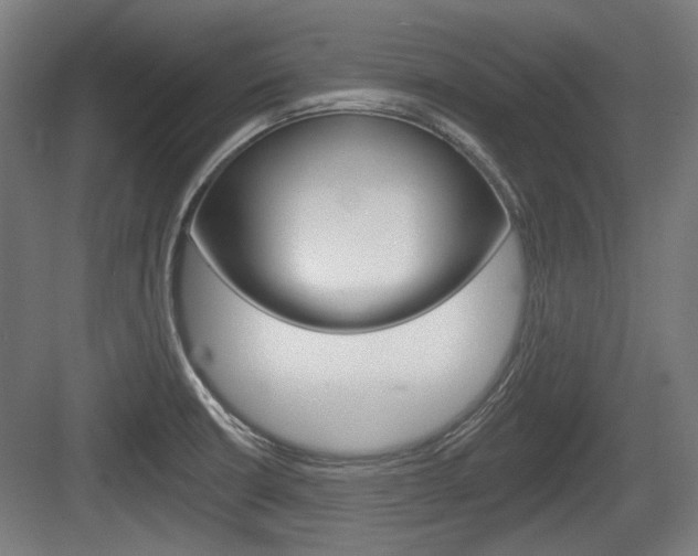X0000083991426200702160719