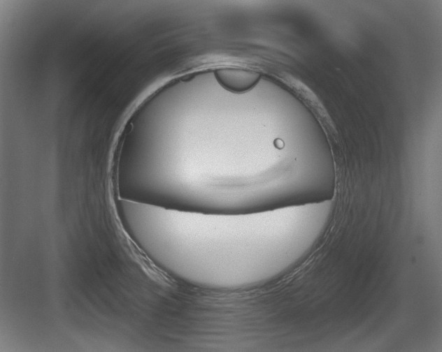 X0000083991427200702160719