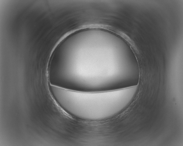 X0000083991428200702160719