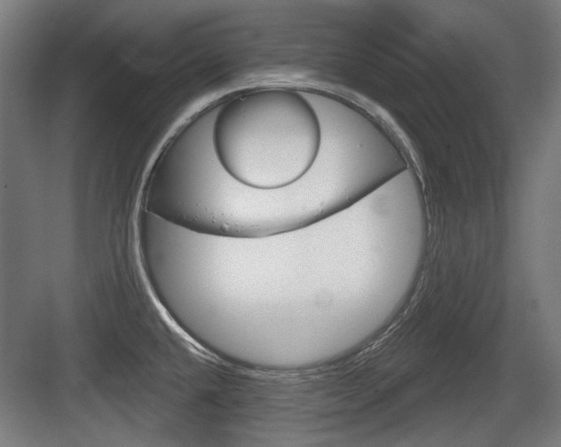 X0000083991432200702160719