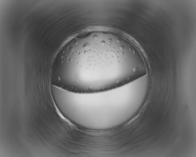 X0000083991433200702160719