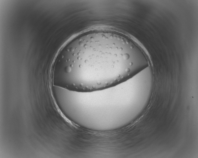 X0000083991437200702160719