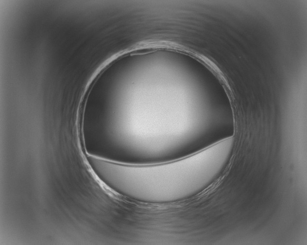 X0000083991438200702160719