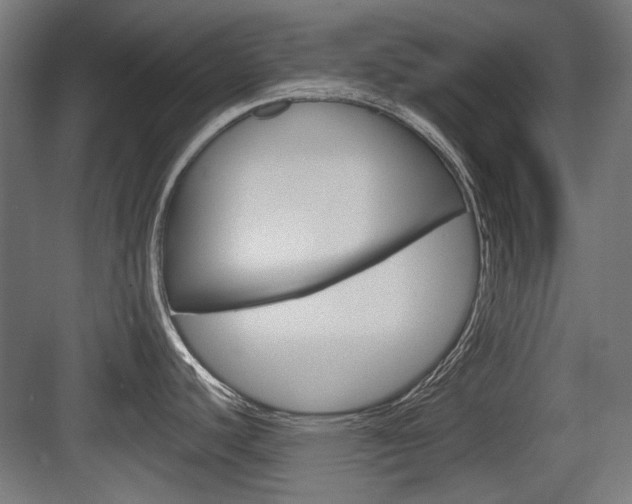 X0000083991440200702160719
