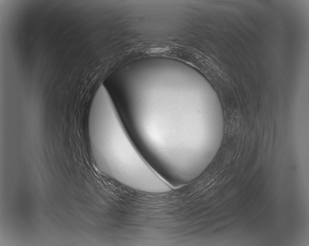 X0000083991441200702160718