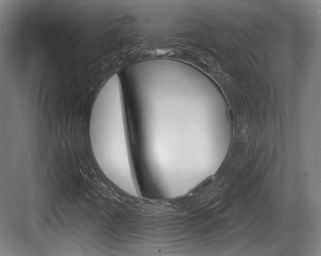 X0000083991442200702160718