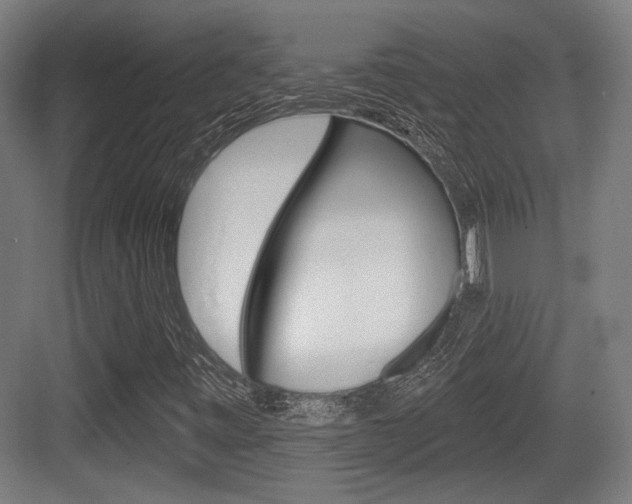 X0000083991443200702160718