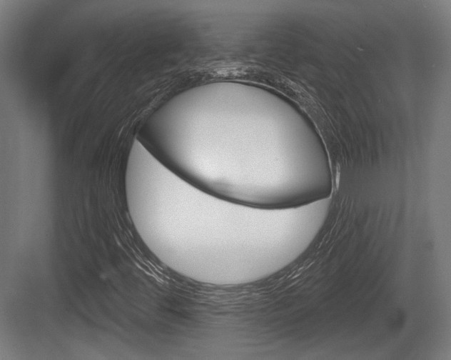 X0000083991444200702160718