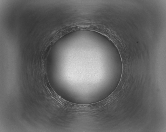 X0000083991445200702160718