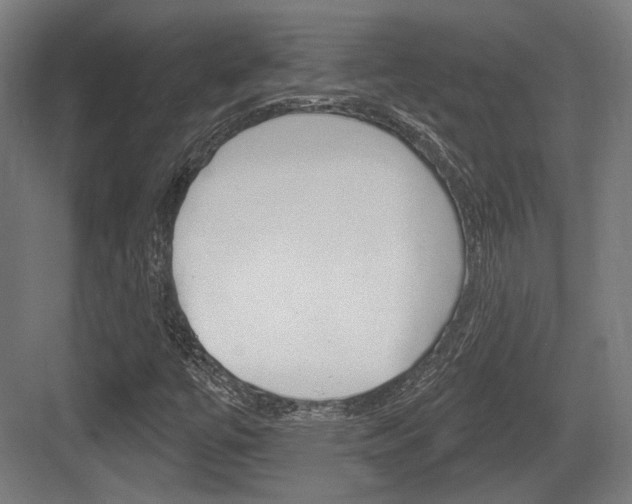 X0000083991447200702160718