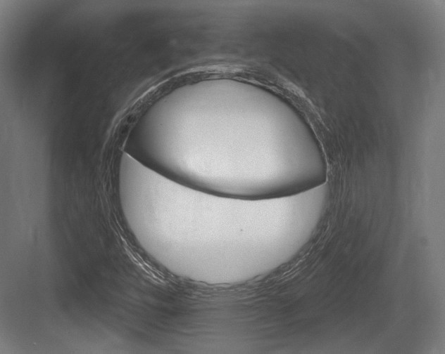 X0000083991448200702160718
