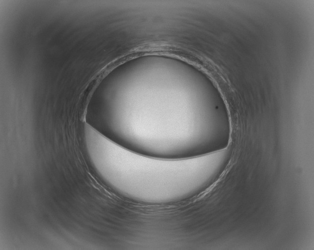 X0000083991449200702160718