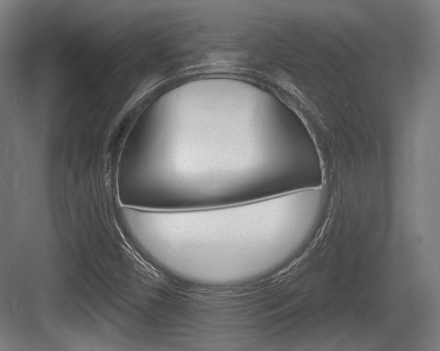 X0000083991450200702160718