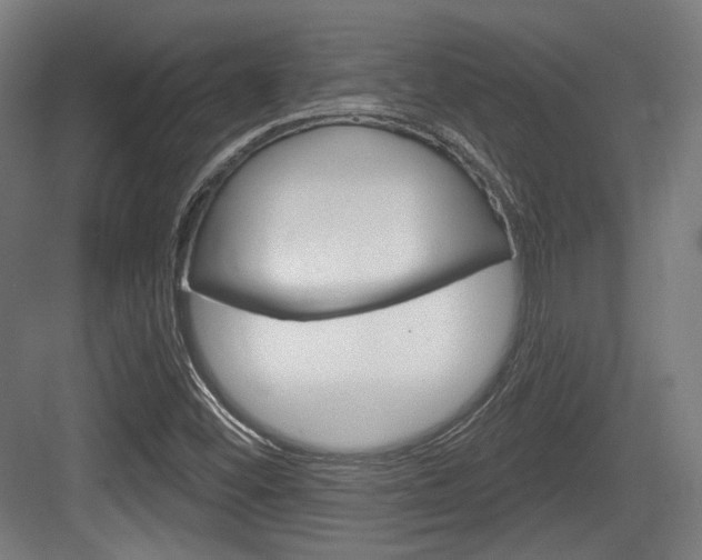 X0000083991452200702160718