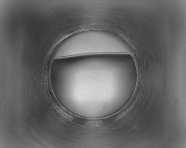 X0000083991453200702160718