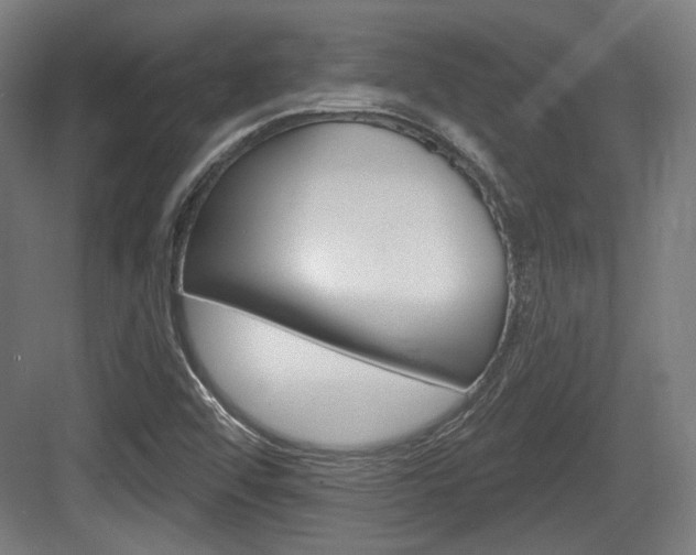 X0000083991456200702160718