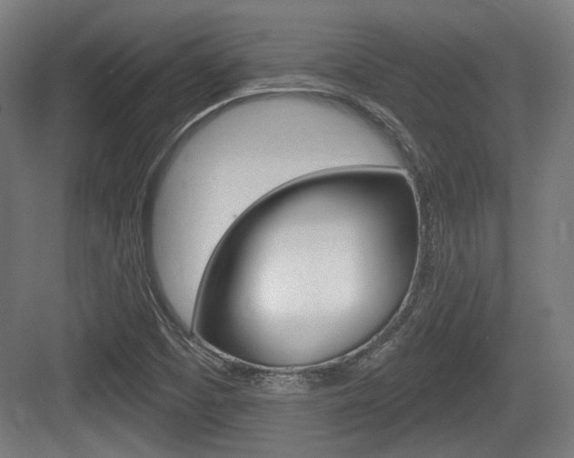 X0000083991457200702160718