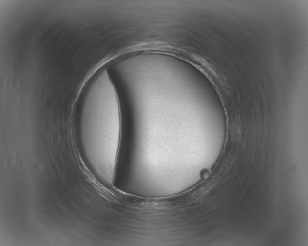 X0000083991458200702160718