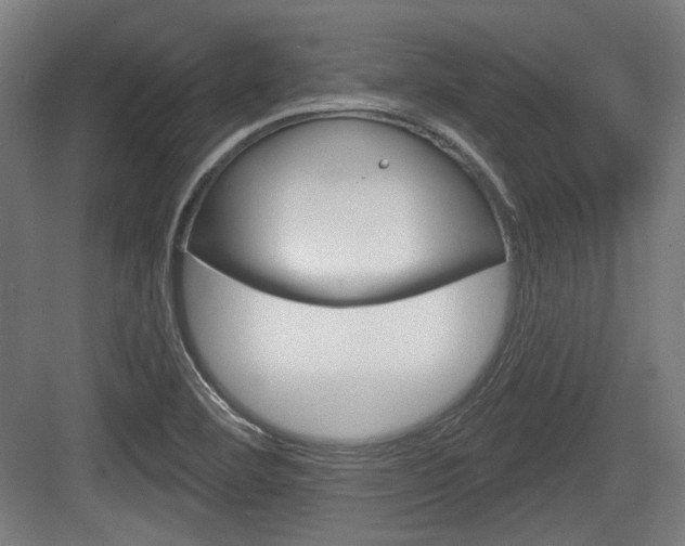 X0000083991460200702160718