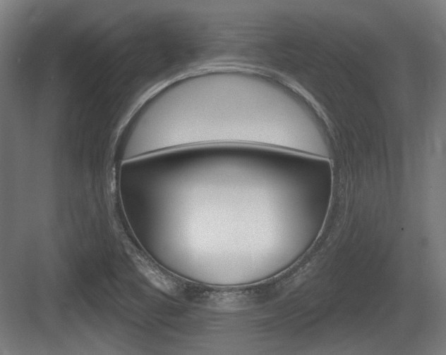 X0000083991461200702160718