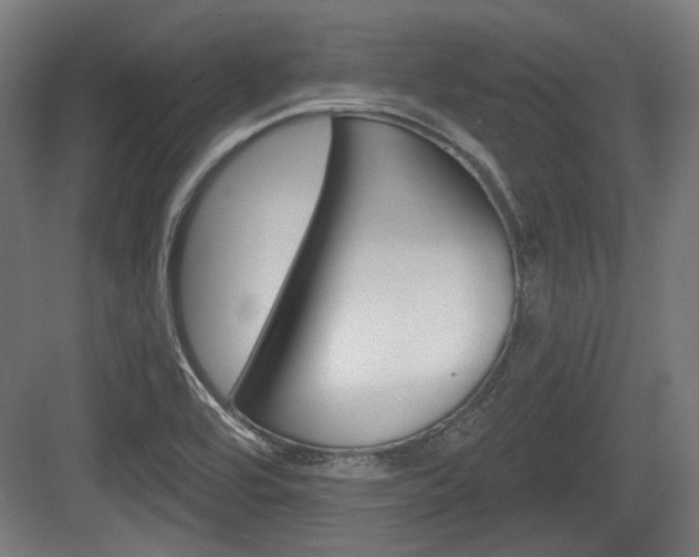 X0000083991464200702160718