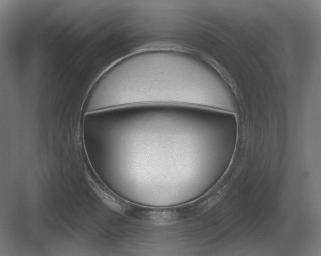 X0000083991465200702160718
