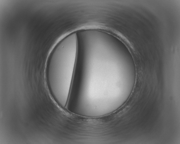 X0000083991469200702160718