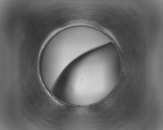 X0000083991472200702160718