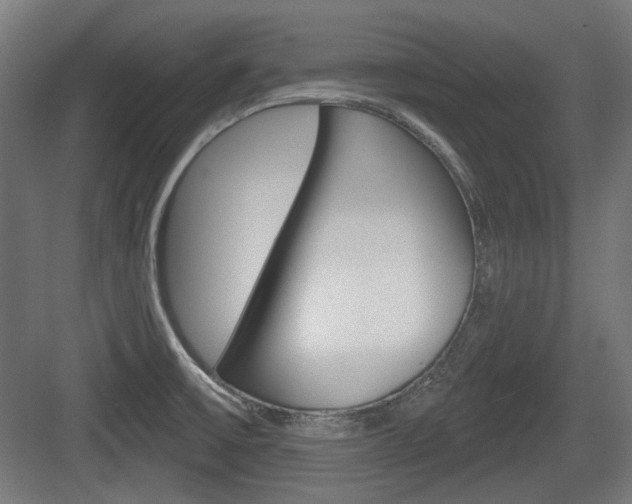 X0000083991475200702160718