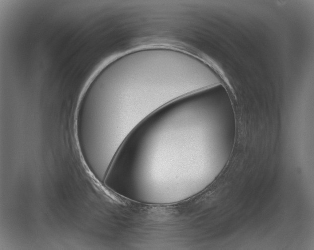 X0000083991480200702160718
