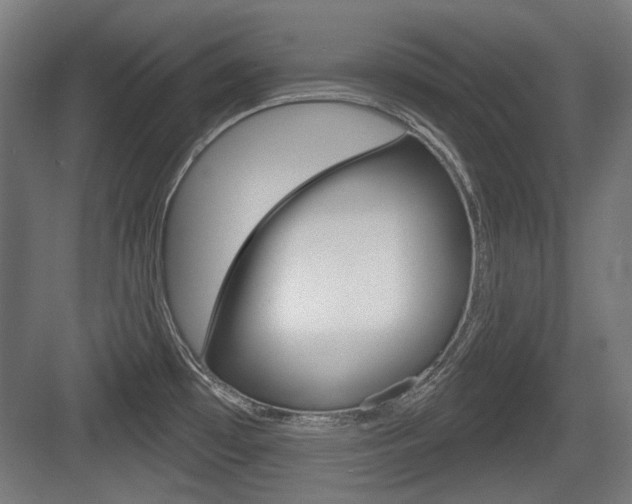 X0000083991481200702160718