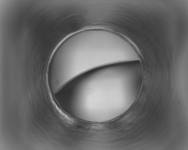 X0000083991484200702160718