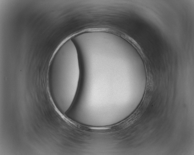 X0000083991487200702160718