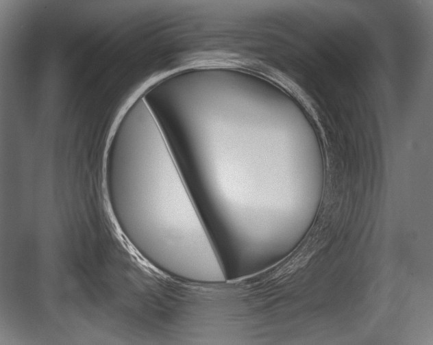 X0000083991488200702160718