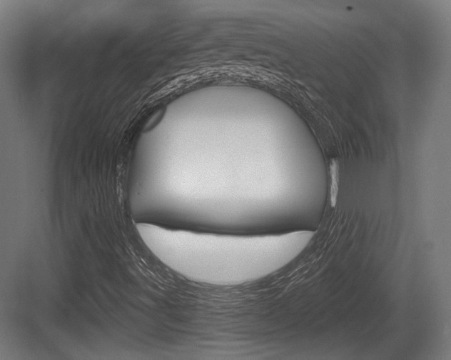 X0000083991491200702160717