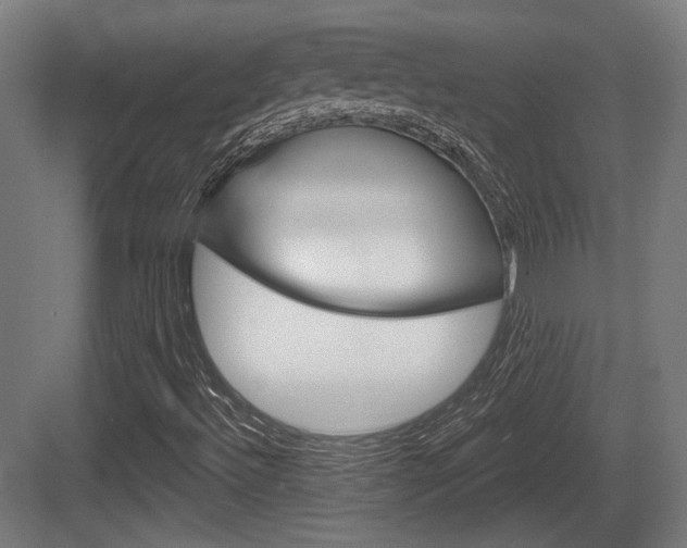 X0000083991492200702160717
