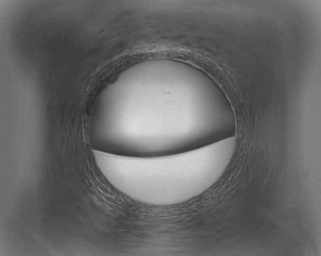 X0000083991493200702160717